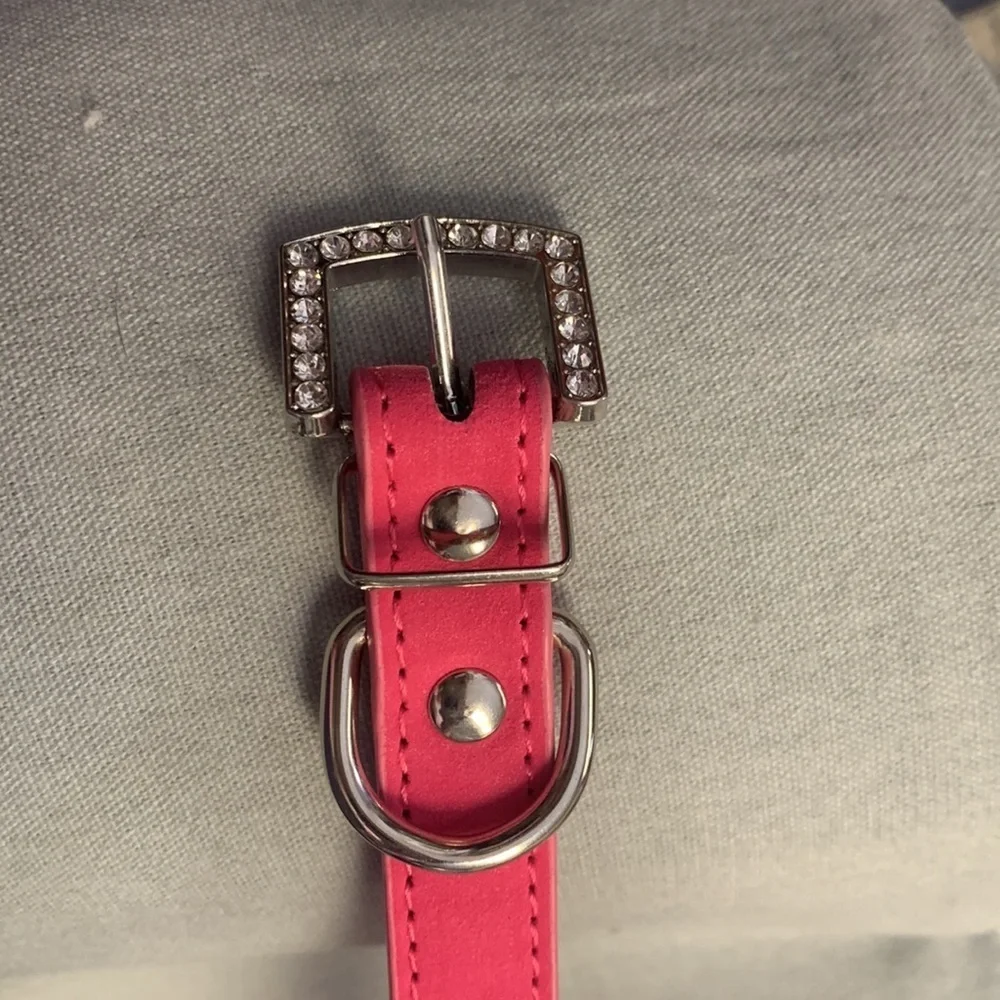 Dog Collar Pink Princess NWT Size Small